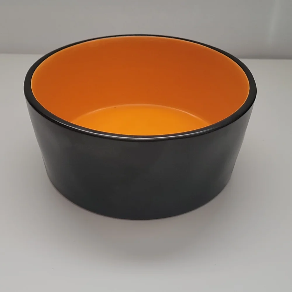 Rae Dunn Large Hocus Pocus Dog Bowl